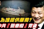 香港希望之聲
