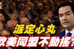香港希望之聲