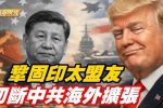 香港希望之聲 香港希望之聲