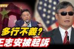 香港希望之聲
