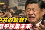 香港希望之聲
