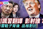 香港希望之聲