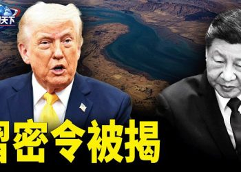 【趣聞天下】中共戰略自打臉集錦；川普點名參戰令習双重尴尬；習近平放話：拖垮美國  