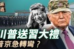 香港希望之聲 香港希望之聲