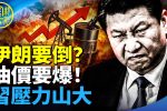 香港希望之聲 香港希望之聲