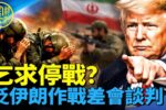 香港希望之聲