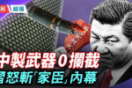 香港希望之聲 香港希望之聲