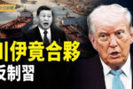香港希望之聲