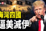 香港希望之聲