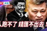 香港希望之聲