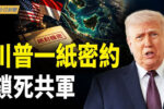 香港希望之聲