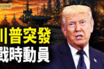 香港希望之聲