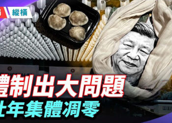 【時局縱橫】百米白燈籠陣照出紅朝末路：2026中國壯年集體凋零！數據背後是體制？ 主持：芬妮    