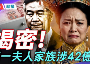 【時局縱橫】許家印認罪，李希被剪裙邊，馬興瑞向第一夫人家族輸送利益套路曝光 主播：芬尼 