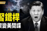 香港希望之聲