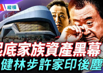 【時局縱橫】許家印認罪後，資產黑幕被一一揭開 其長子被爆月領4100萬生活費，許家其他子女 生活一度奢侈；同時王健林和許家印處境一樣…     