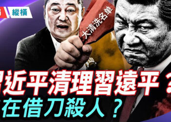 【時局縱橫】誰在借刀殺人？一份延遲160天的「接管令」，逼習近平清理習遠平？蔡奇、李強權力大挪移真相 主播：芬妮      
