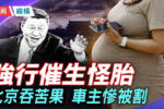 香港希望之聲