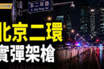 香港希望之聲