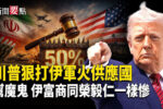 香港希望之聲