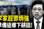香港希望之聲