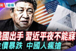 香港希望之聲
