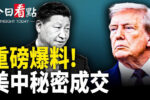 香港希望之聲
