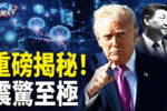 香港希望之聲