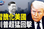 香港希望之聲