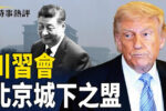 香港希望之聲