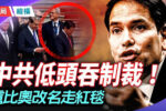 香港希望之聲