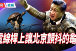 香港希望之聲
