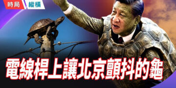 【時局縱橫】七天七件事，每一件都在告訴你：中國快撐不住了 主播：芬妮      