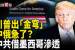 香港希望之聲