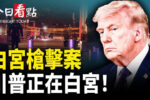 香港希望之聲