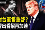 香港希望之聲