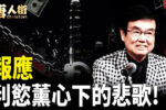 香港希望之聲