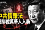 香港希望之聲