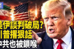 香港希望之聲