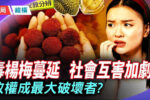 香港希望之聲 香港希望之聲