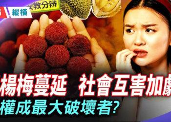 【時局縱橫】毒楊梅僅罰23官員，網民徹底破防！「拼好姆」白嫖亂象震驚全網，外資山姆超市會被吃垮嗎？從 彼此投毒到公然掠奪…     