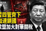 香港希望之聲
