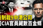 香港希望之聲