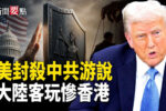 香港希望之聲