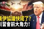 香港希望之聲