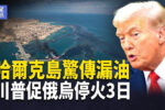 香港希望之聲