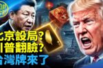 香港希望之聲 香港希望之聲