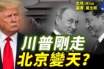 香港希望之聲 香港希望之聲
