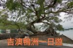 香港希望之聲