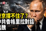 香港希望之聲